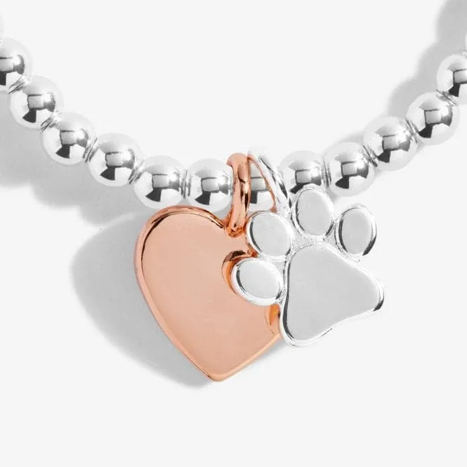 A Little Puppy Love Silver 17.5cm Stretch Bracelet 5230