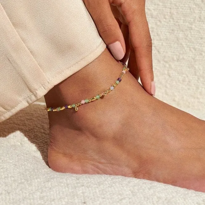 Anklet Multi Stone Gold Plated Anklet 23cm Stretch Anklet 6943