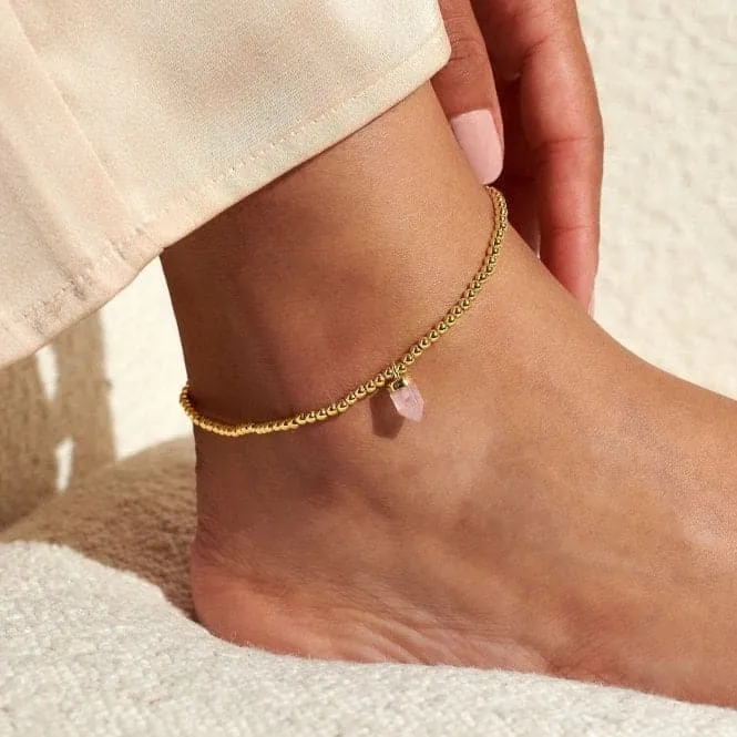 Anklet Rose Quartz Crystal Gold Plated Anklet 23cm Stretch Anklet 6945