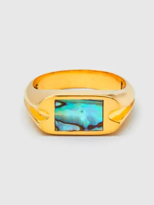 Danny Signet Ring in 14K Gold/Abalone Shell