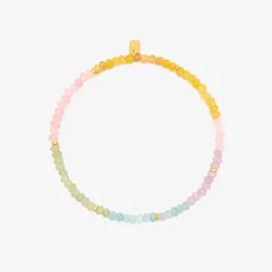 Ombre Rainbow Stretch Anklet