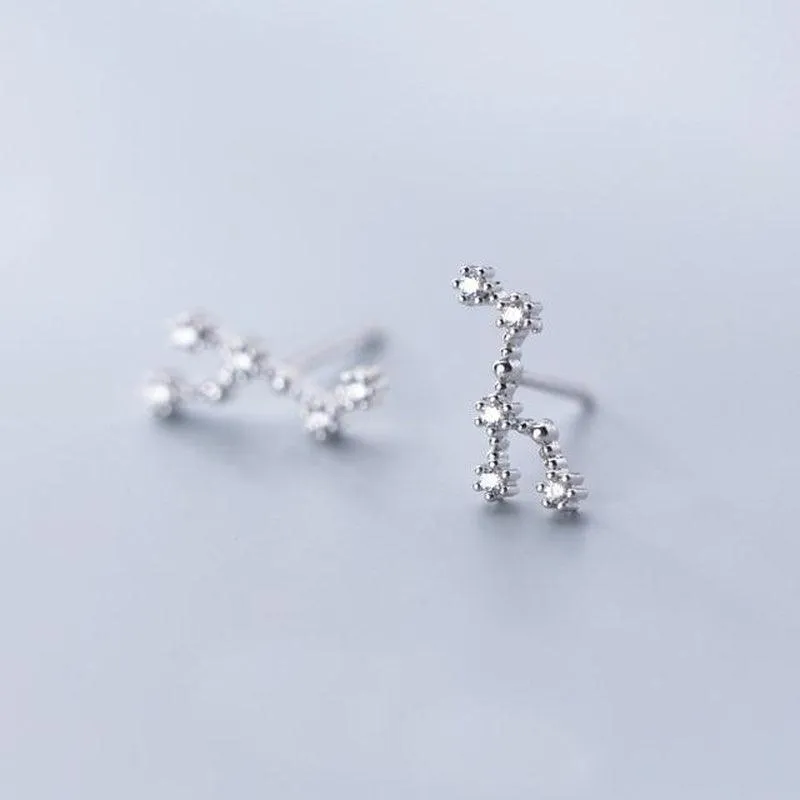 Your Zodiac Constellation Minimal Studs